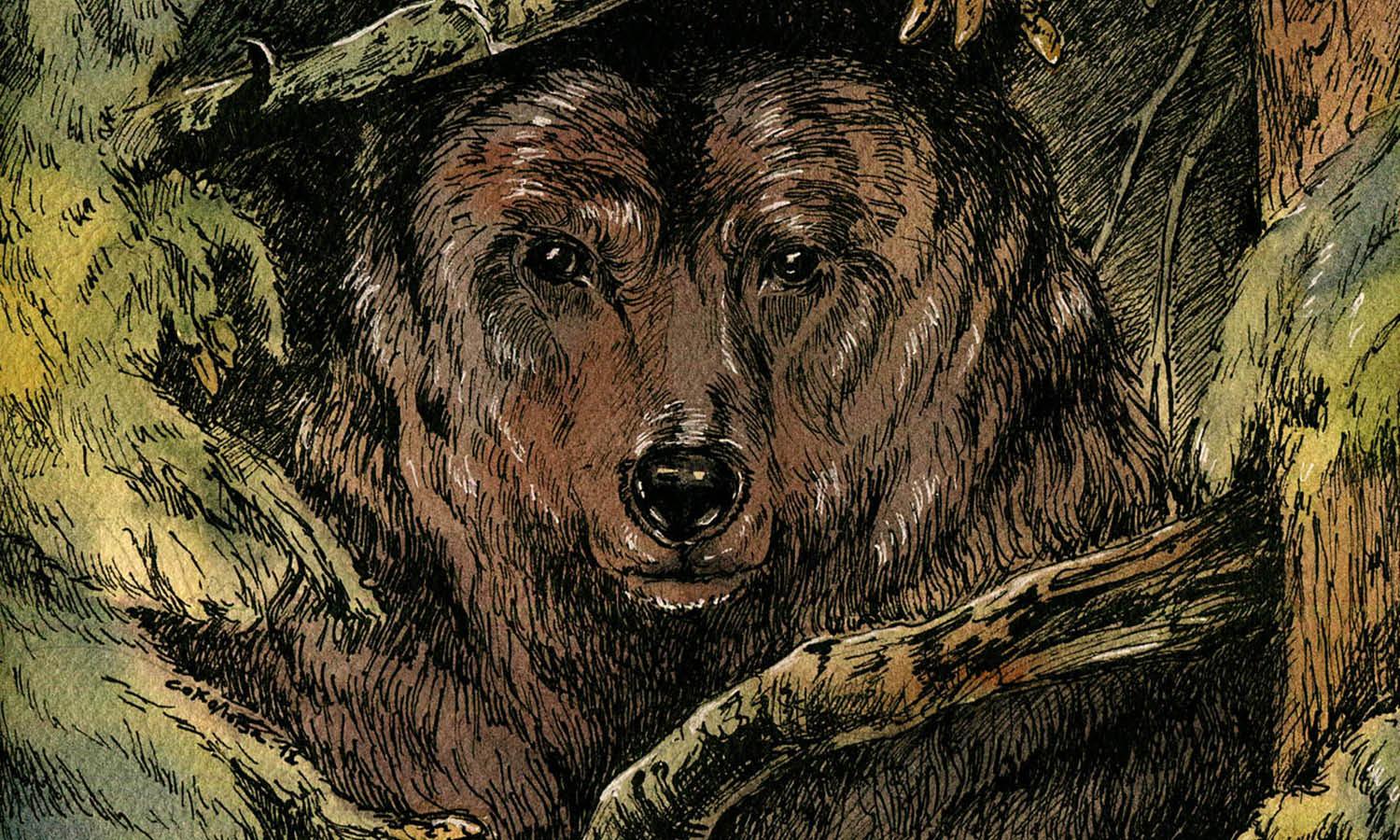 30 Best Bear Illustration Ideas You Should Check - Kreafolk