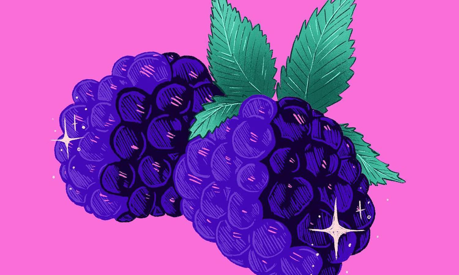 30 Best Blackberry Illustration Ideas You Should Check - Kreafolk