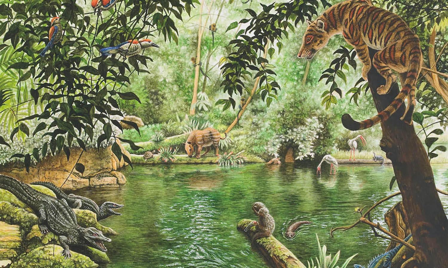 30 Best Zoo Illustration Ideas You Should Check - Kreafolk