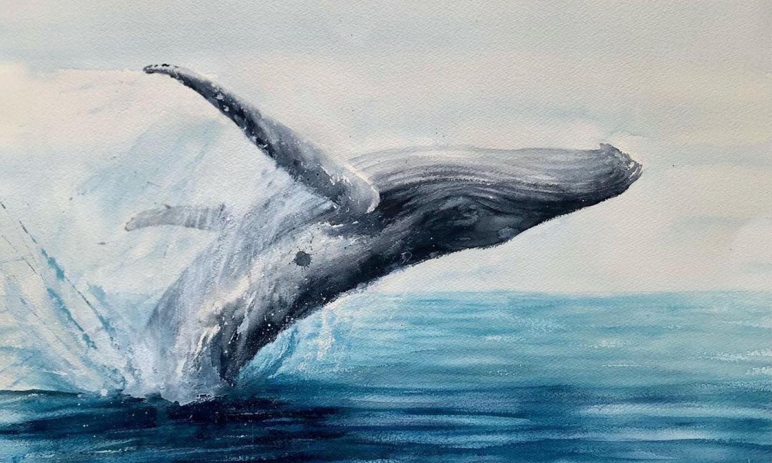 30 Whale Watercolor Painting Ideas - Kreafolk