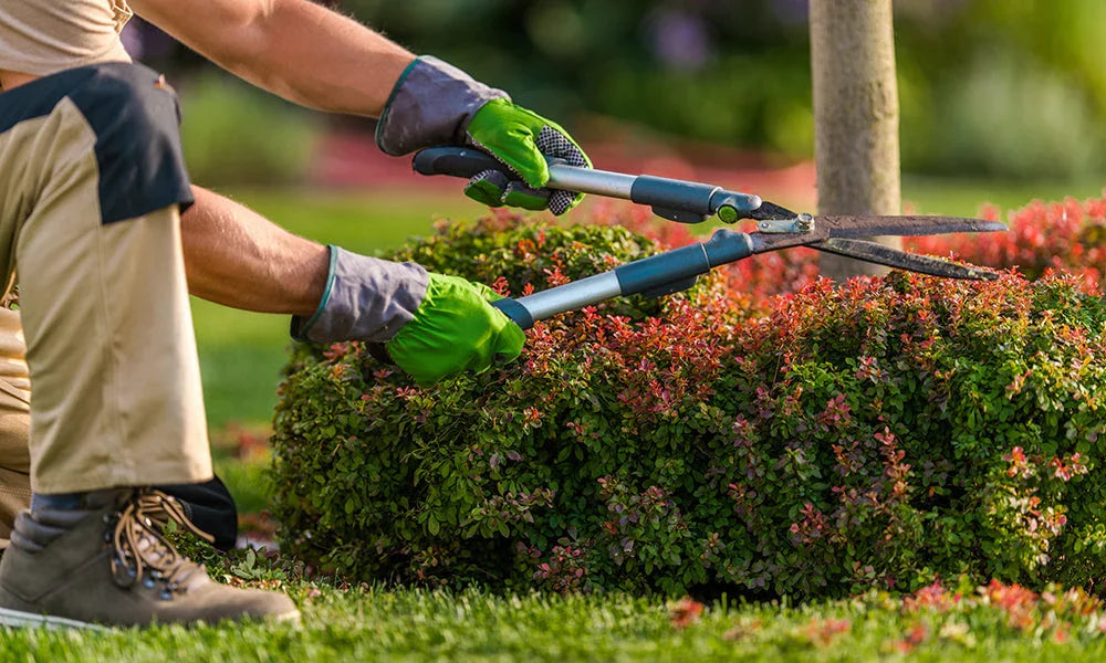 5 Low-Maintenance Landscaping Ideas That Look Stunning Year-Round