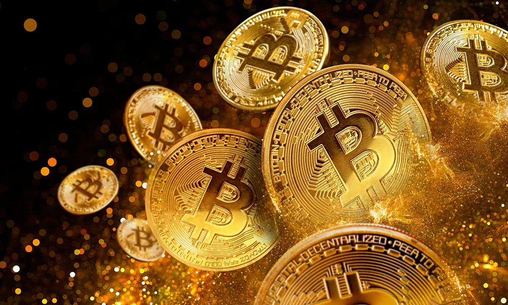 Bitcoin Adoption Is Still In Its Incipient Stages
