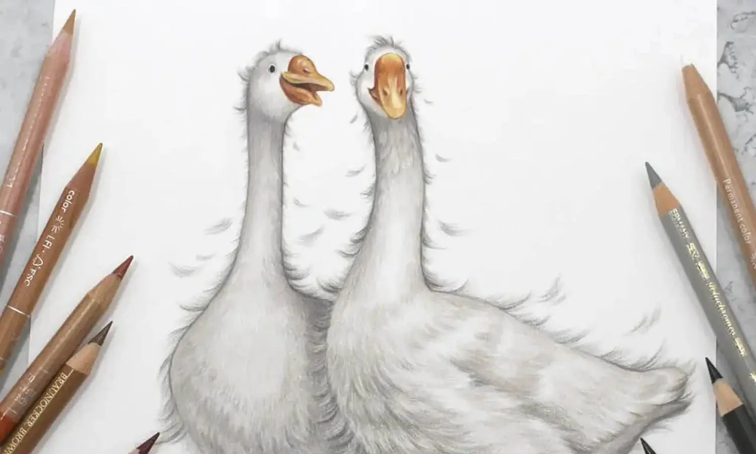 30 Best Duck Illustration Ideas You Should Check