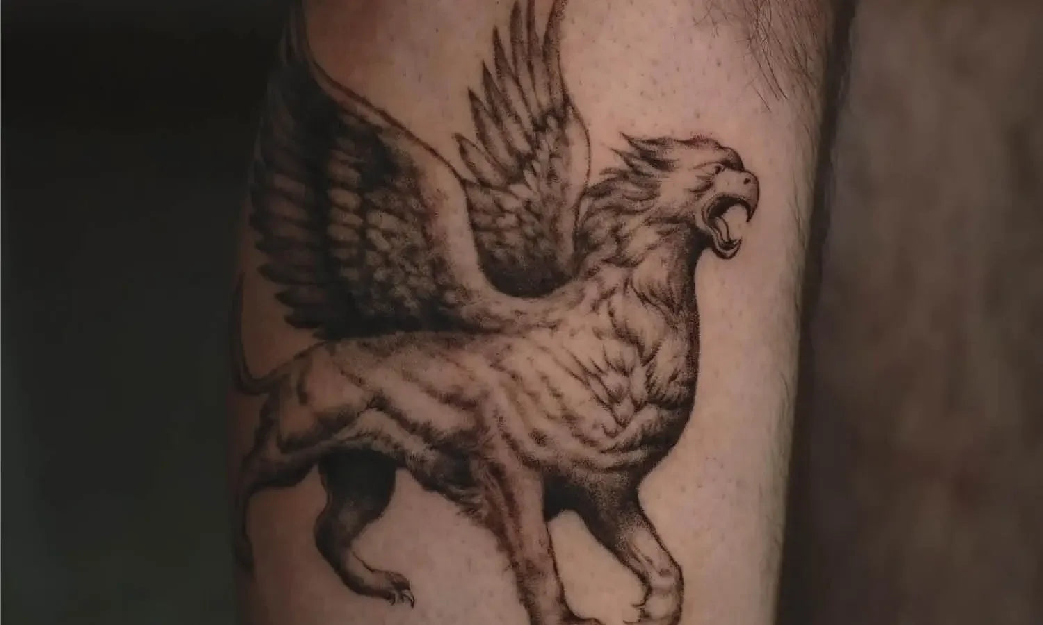 Gryphon Sleeve Tattoo Griffin (Power And Perfection. Vigilance.)