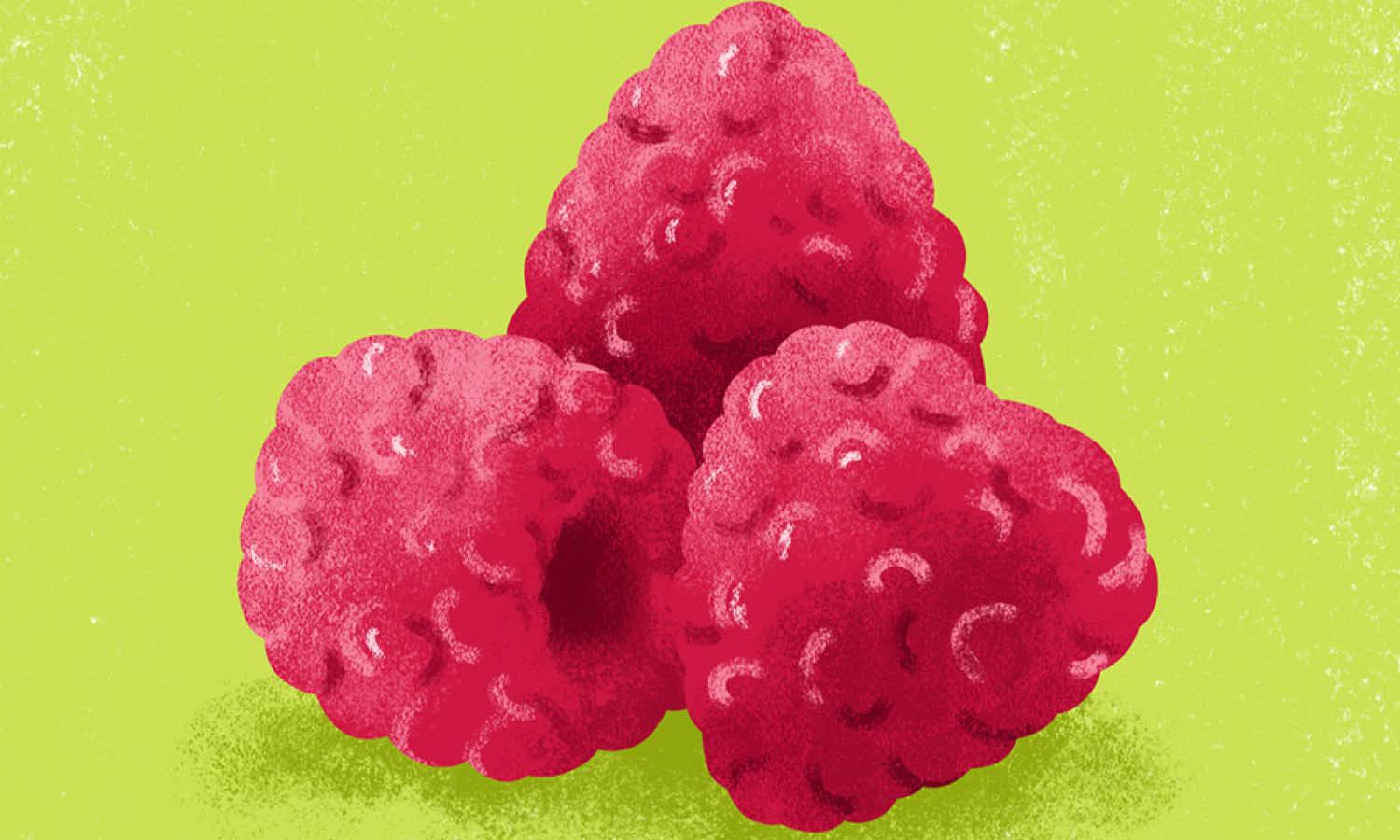 30 Best Raspberry Illustration Ideas You Should Check