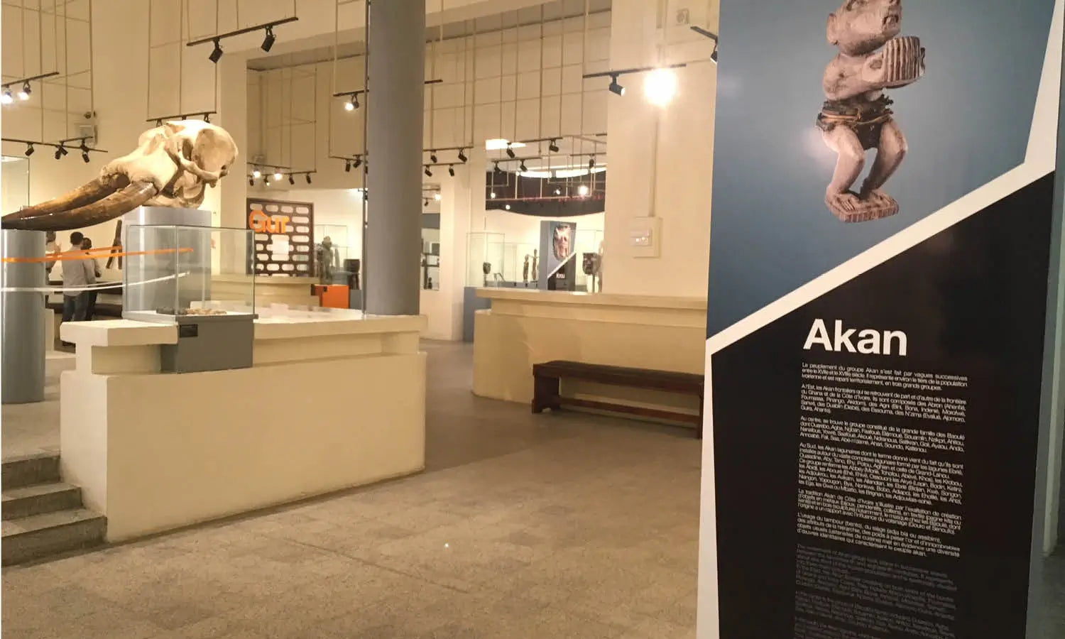 Top Art Museums In Ivory Coast You Should Visit