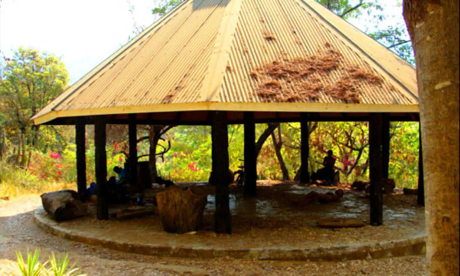 Top Art Museums In Malawi You Should Visit