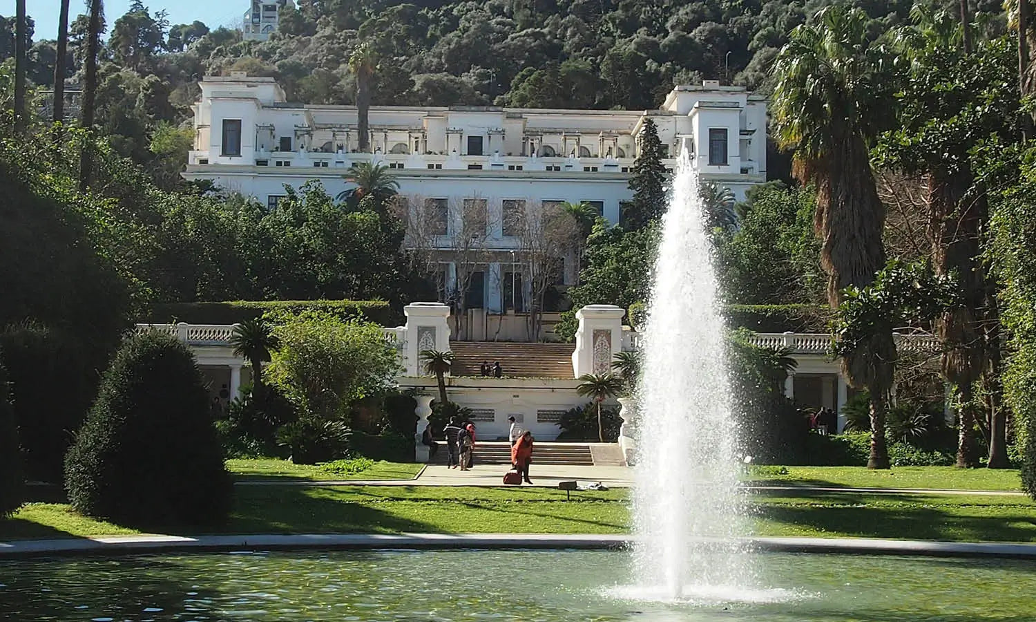 Top Art Museums in Algeria You Should Visit