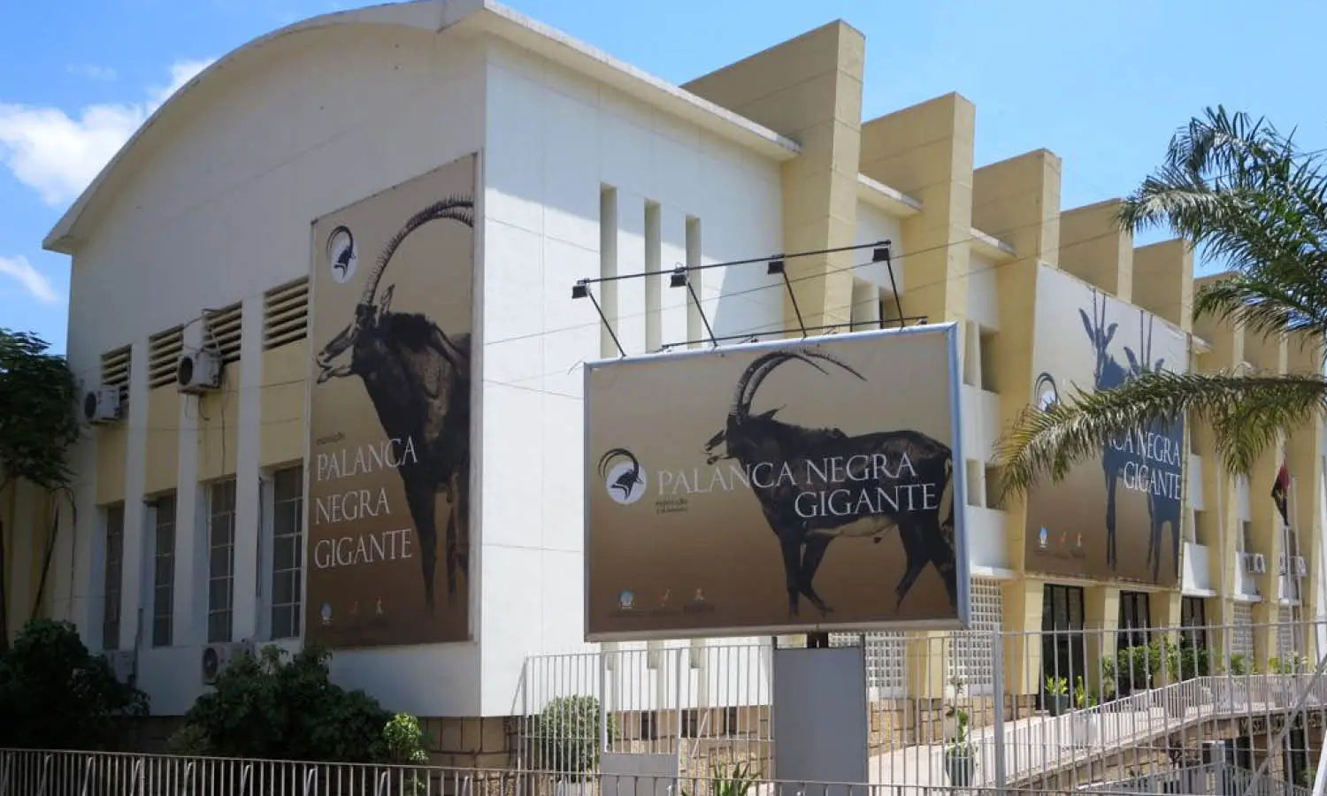 Top Art Museums in Angola You Should Visit
