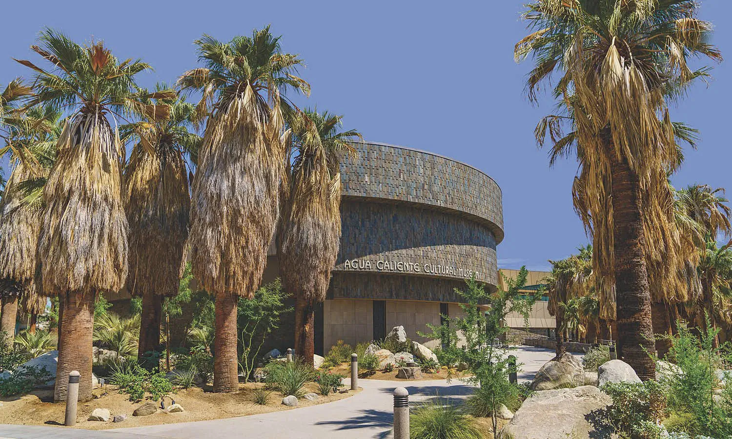 Top Art Museums in Palm Springs You Should Visit