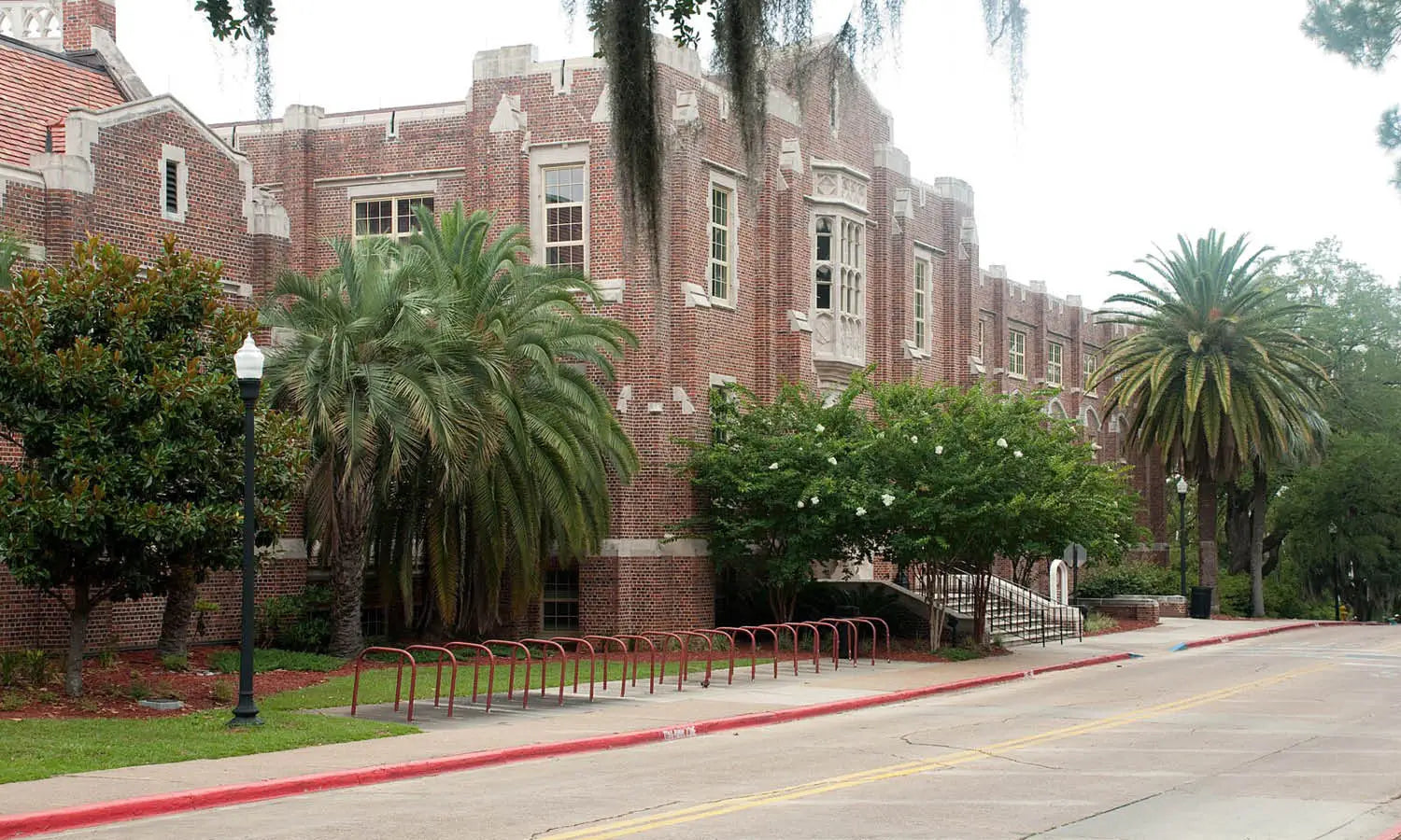 Top Art Museums in Tallahassee You Should Visit
