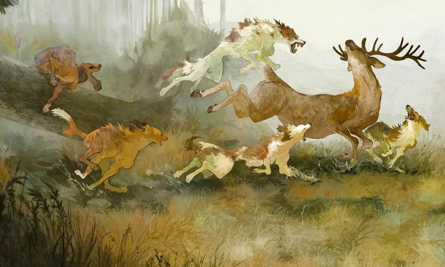 30 Various Animal Illustration Ideas