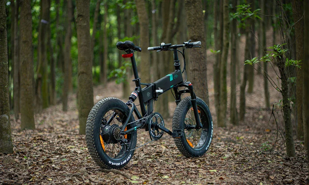 Escape the Ordinary: Why You Need a Fiido Off-Road E-bike