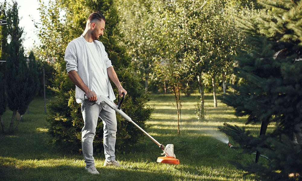 Essential Lawn Maintenance: Expert Tips and Assistance for a Healthy Yard