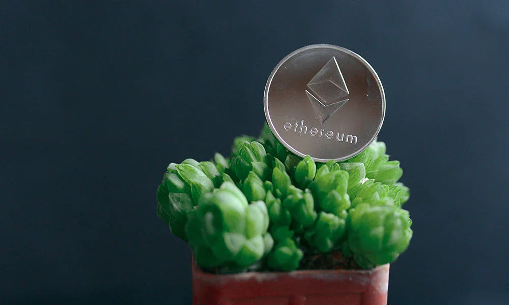 Ethereum In The Spotlight: Lesser-Known Facts About This Crypto Project