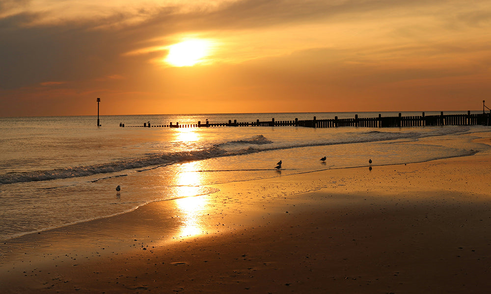 Exploring The Norfolk Coast: A Haven Of Natural Inspiration