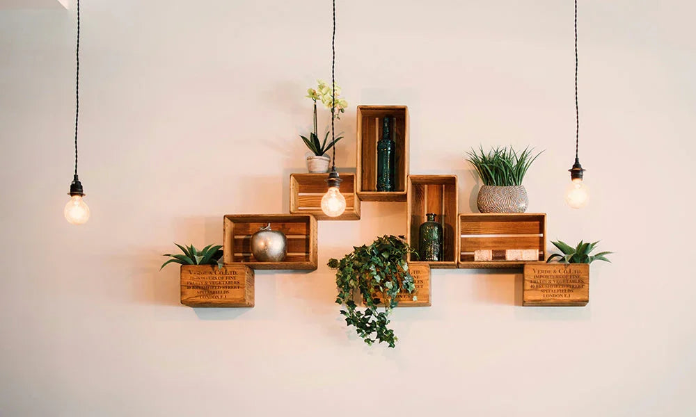 Home Decor Tips Everyone Should Know