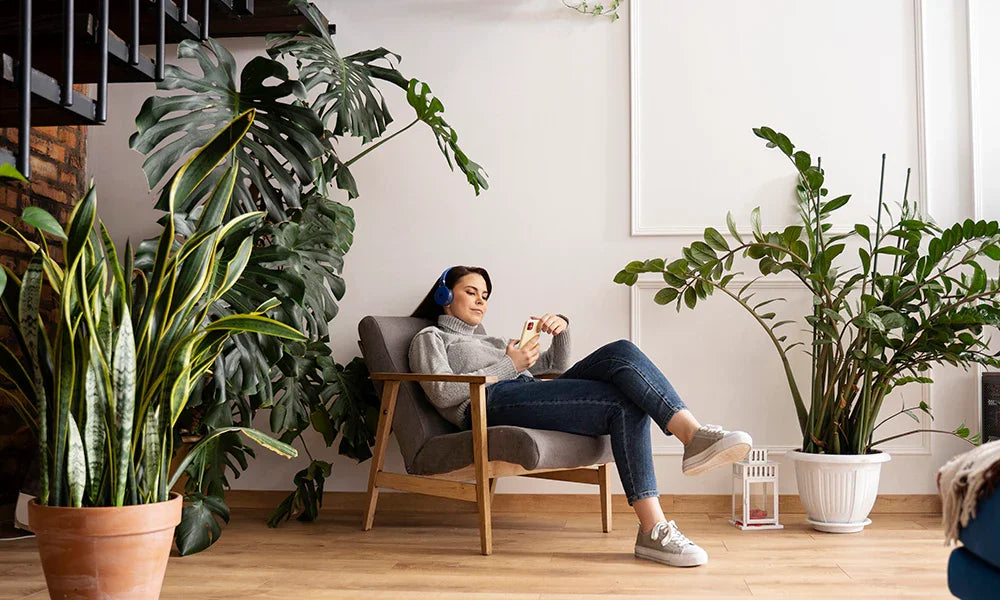 How the Better Homes and Gardens Sweepstakes Can Transform Your Home for Free