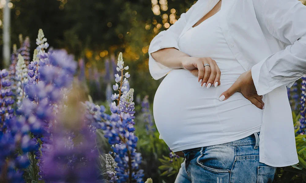 Is Surrogacy Legal in Mexico? Understanding the Laws and Regulations