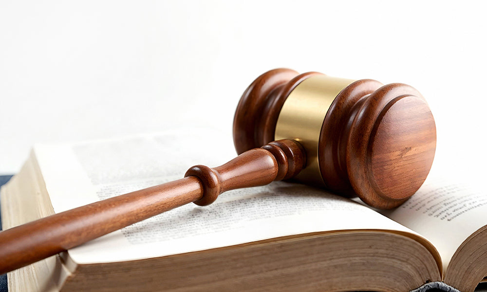 Key Ways a Felony Conviction Can Affect Your Future