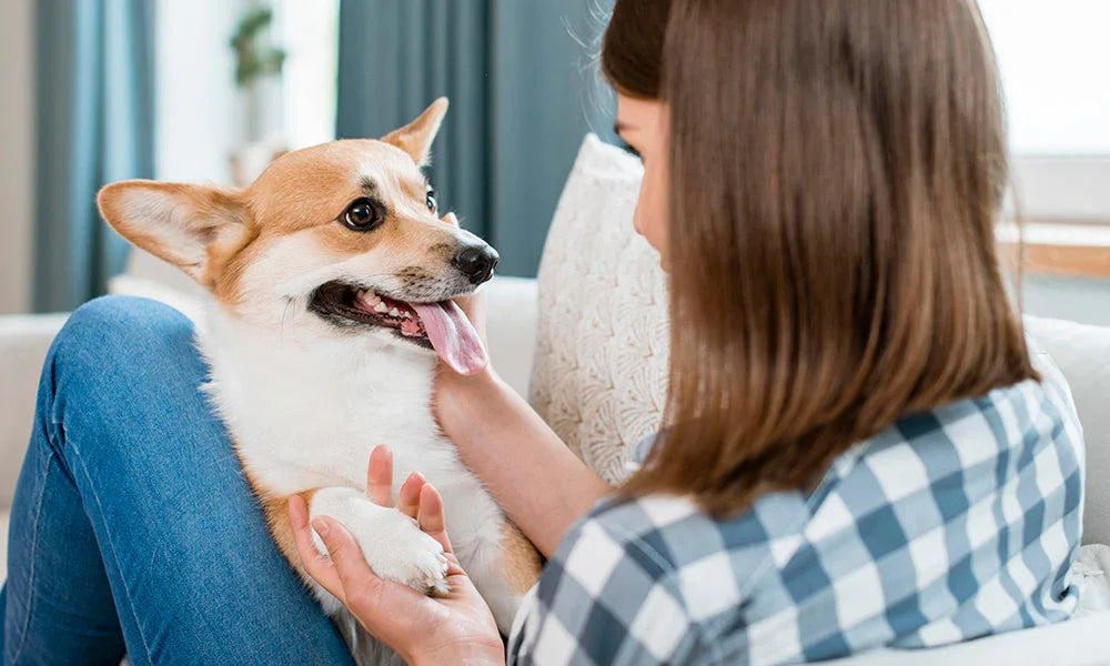 10 Therapeutic Benefits of Having a Pet for People with Autism