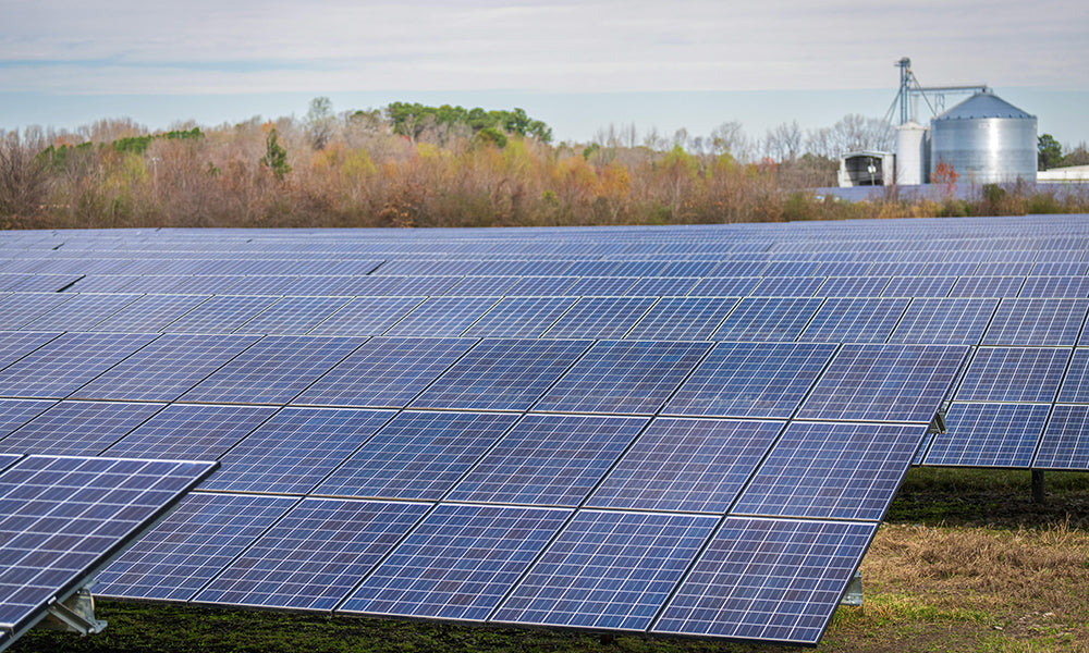 Review: Wolf River Electric