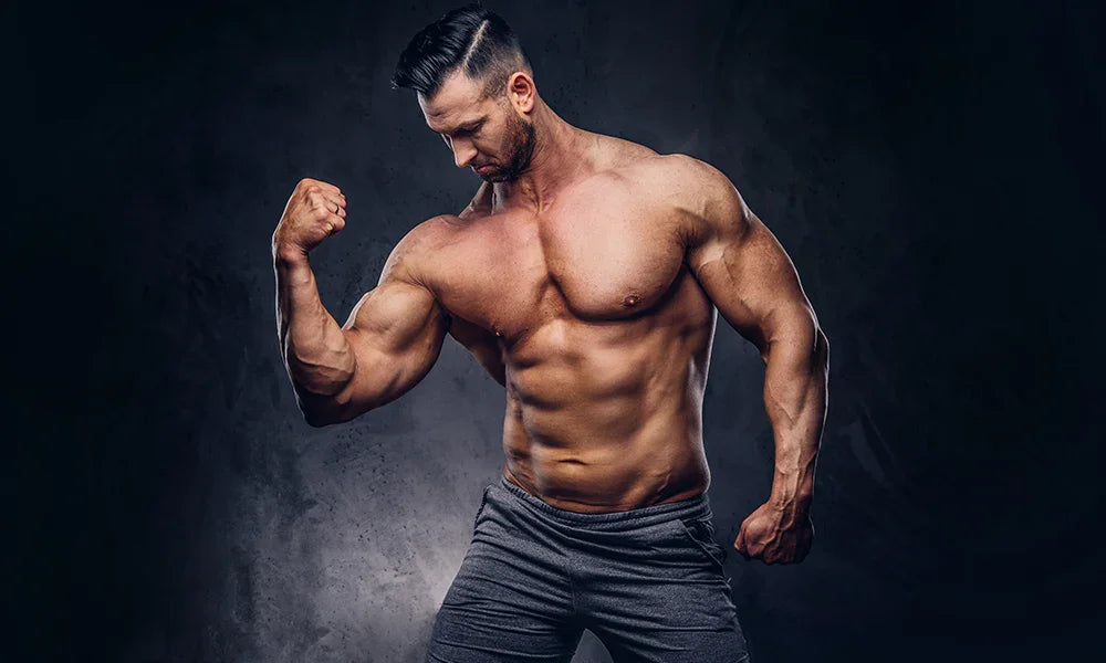 Risks of Misusing Steroids: What You Need to Know