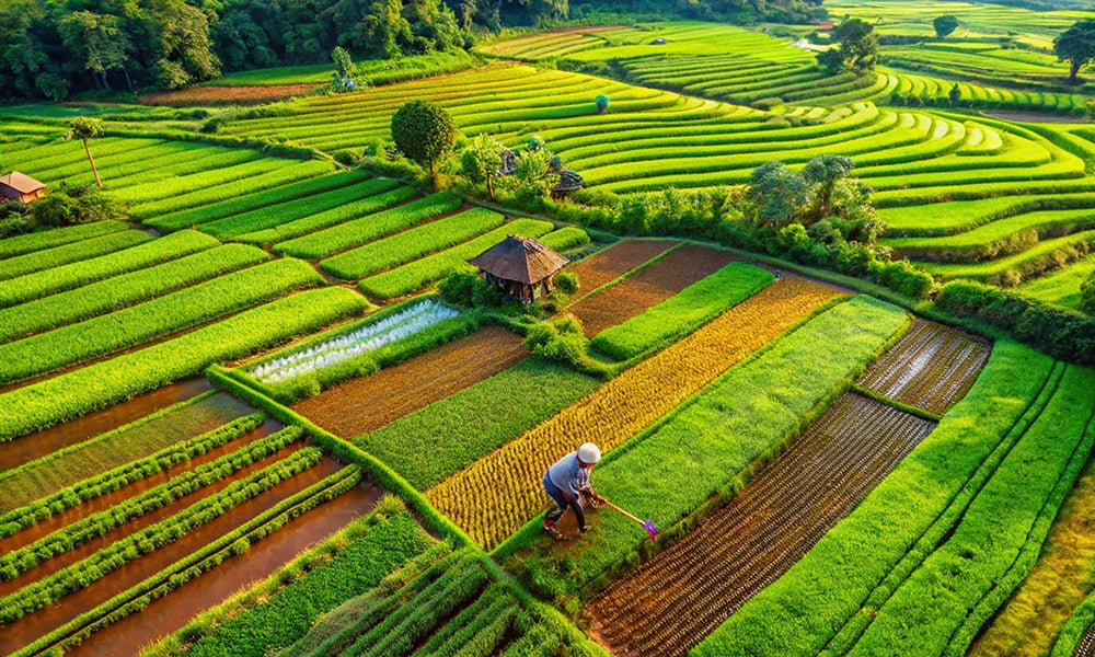 Tech-Driven Strategies for Expanding Your Agricultural Business Internationally