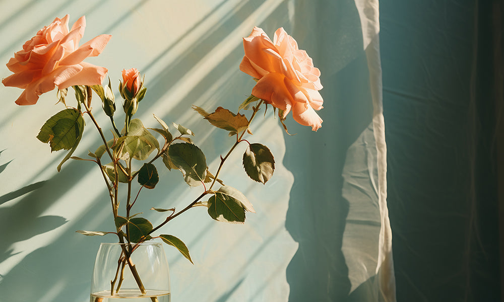 The Future of AI in Aesthetic Innovation