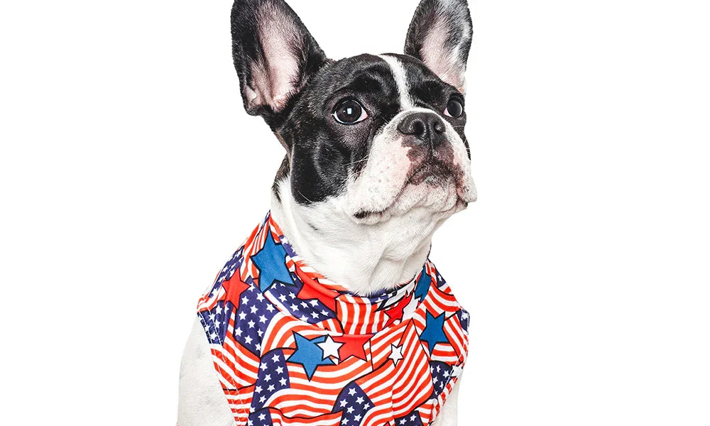 The Ultimate Cozy Day: Matching Loungewear for You and Your Pet