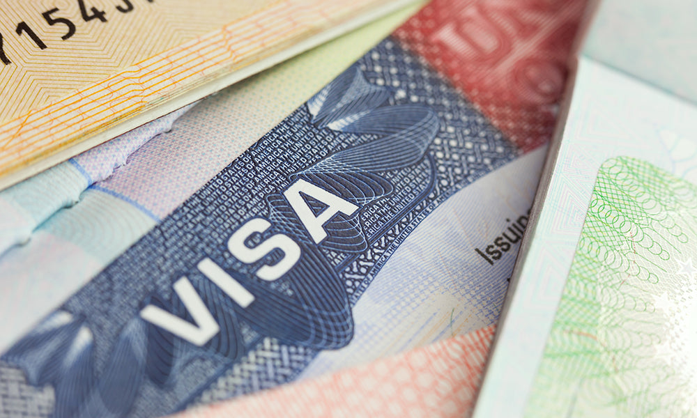 Understanding Fund Diversification Within Portugal’s Golden Visa Program