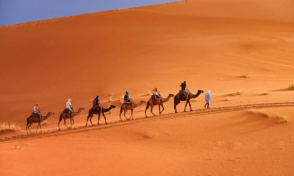 Unveiling the Magic of Morocco: Your Ultimate Guide to Desert Tours & Adventures