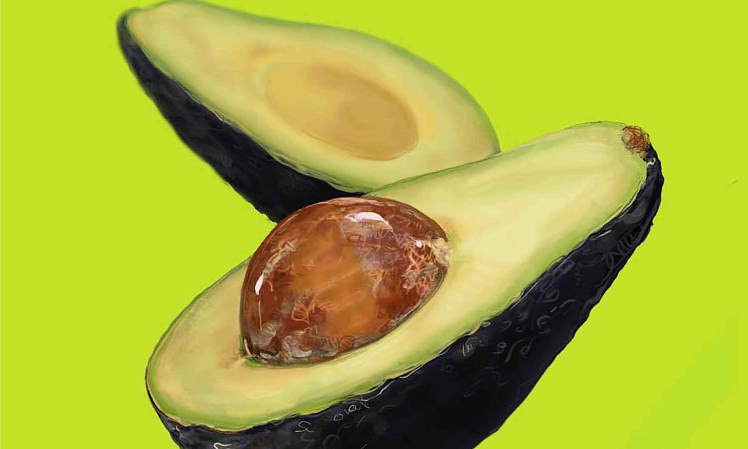 30 Best Avocado Illustration Ideas You Should Check - Kreafolk