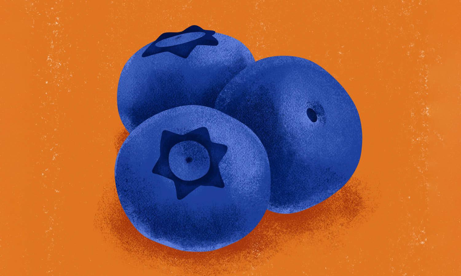 30 Best Blueberry Illustration Ideas You Should Check - Kreafolk