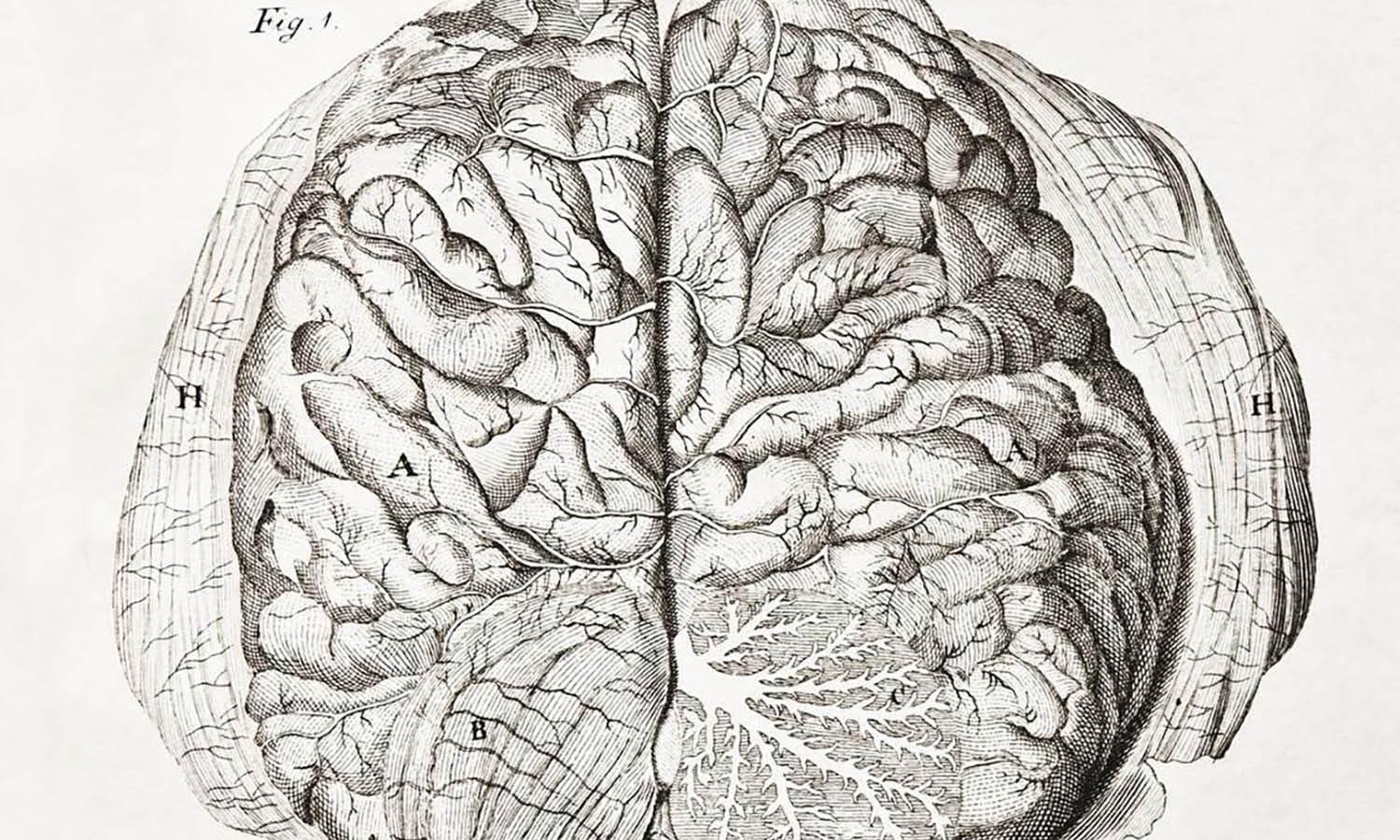 30 Best Brain Illustration Ideas You Should Check - Kreafolk