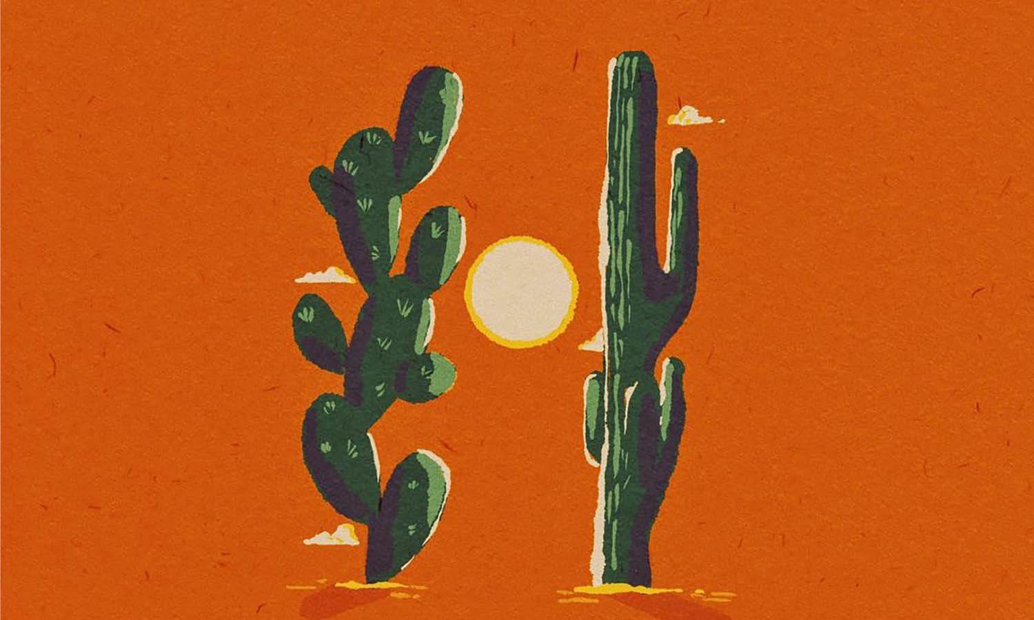 30 Best Cactus Illustration Ideas You Should Check - Kreafolk