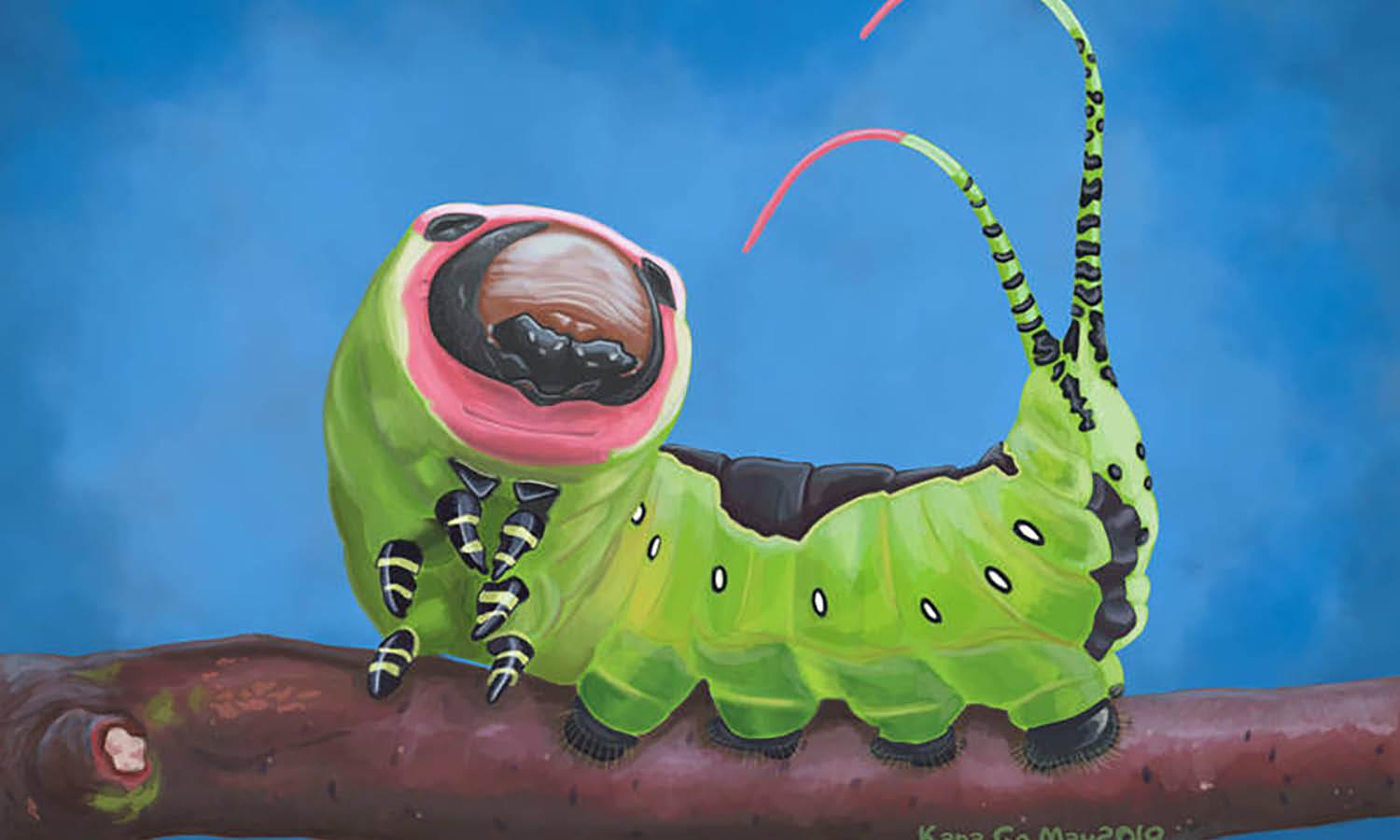 30 Best Caterpillar Illustration Ideas You Should Check - Kreafolk