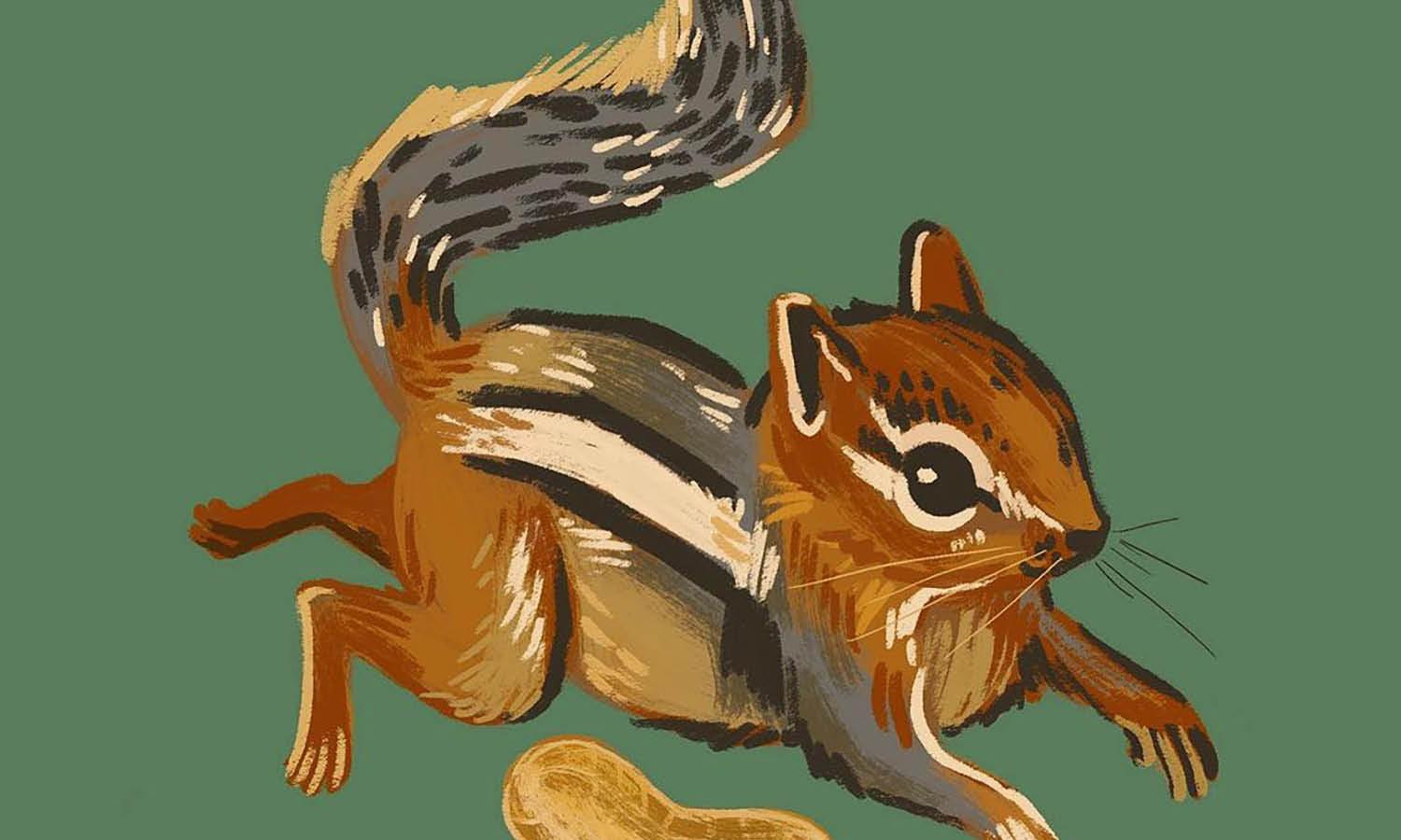 30 Best Chipmunk Illustration Ideas You Should Check - Kreafolk