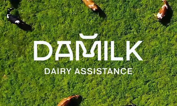 30 Best Dairy Logo Design Ideas You Should Check - Kreafolk
