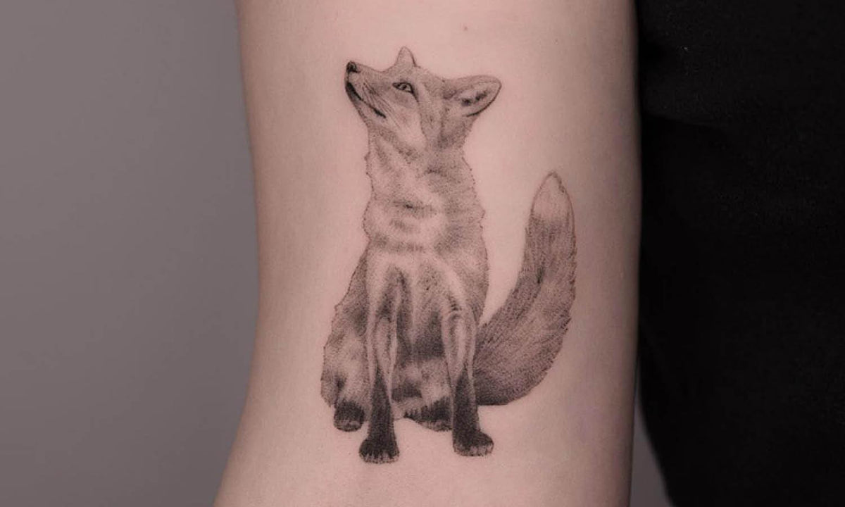 Angry Fox Tattoo