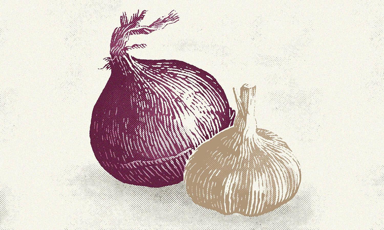 30 Best Garlic Illustration Ideas You Should Check - Kreafolk