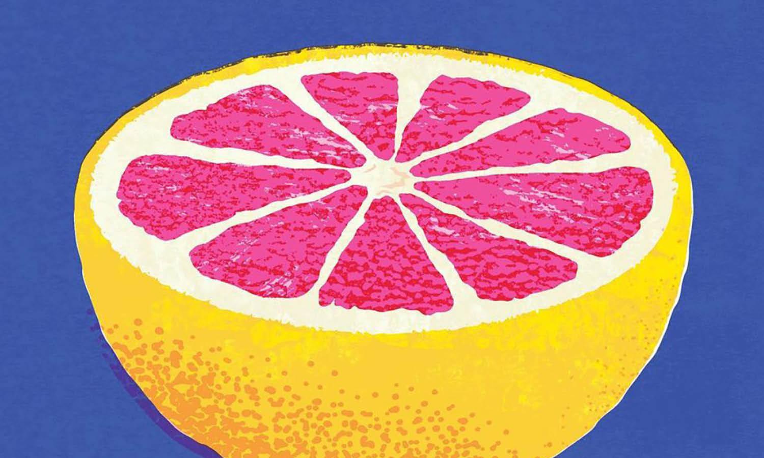 30 Best Grapefruit Illustration Ideas You Should Check - Kreafolk