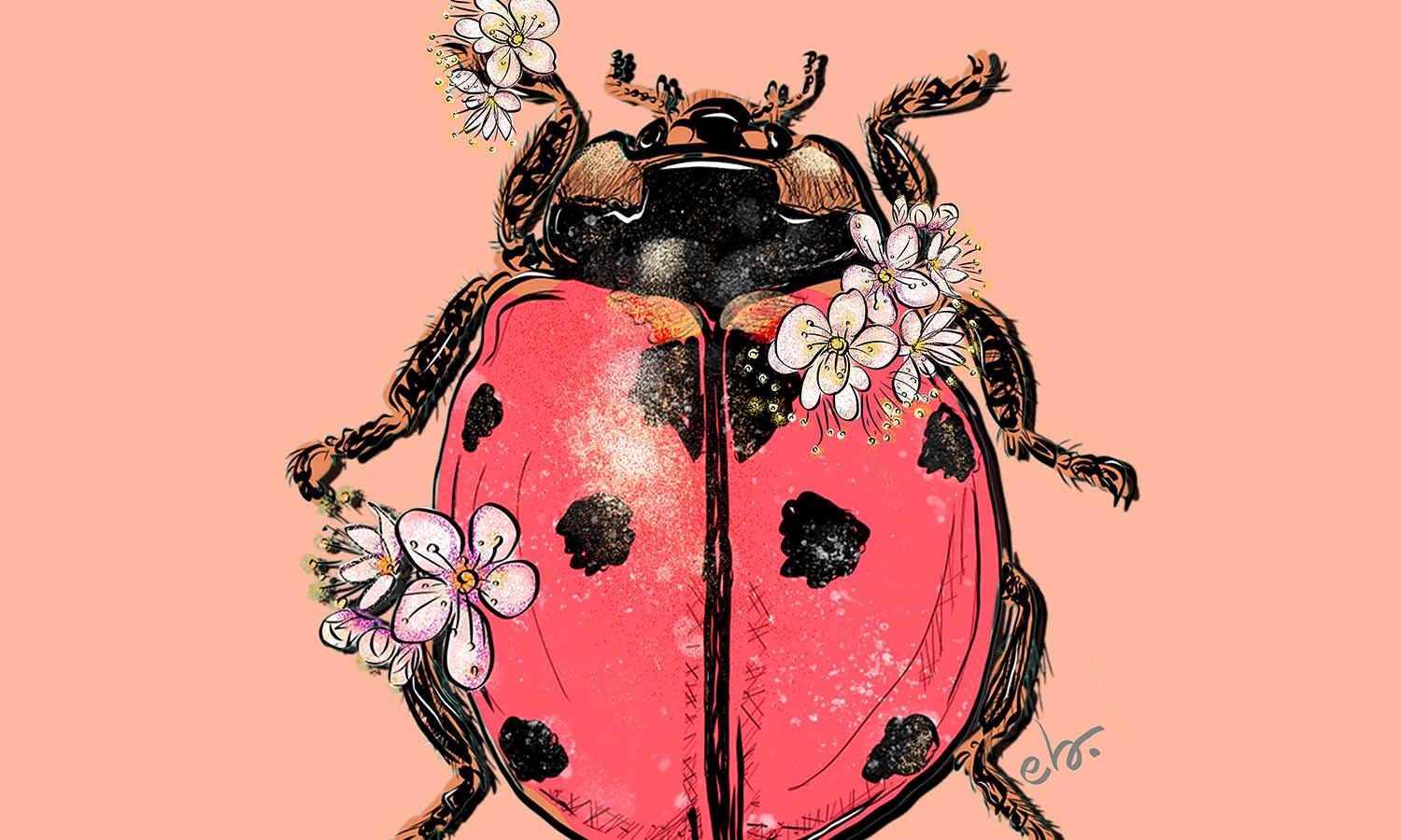 30 Best Ladybug Illustration Ideas You Should Check - Kreafolk