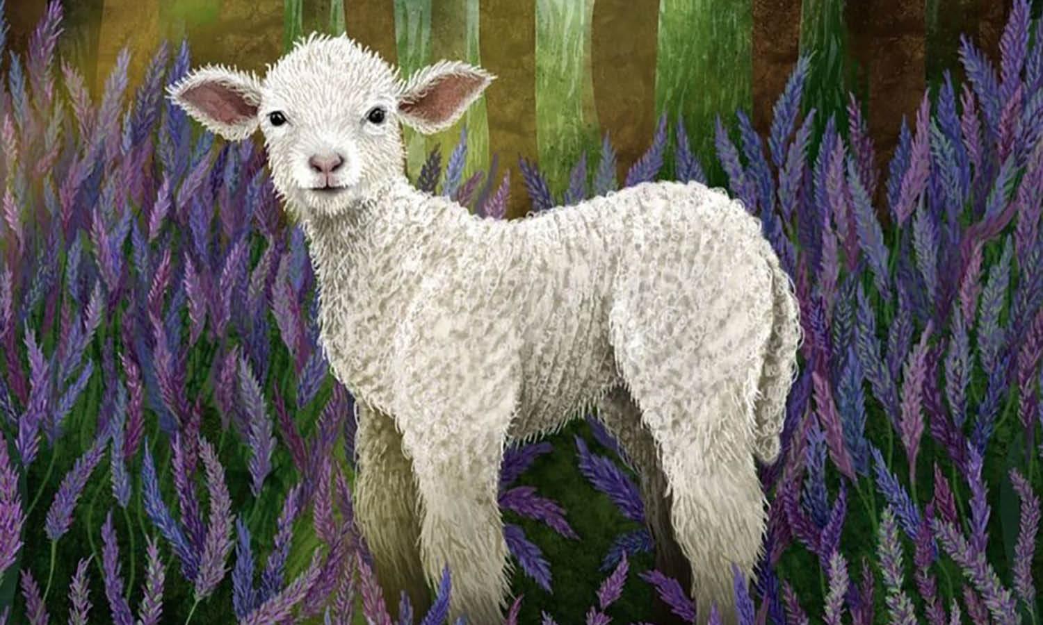 30 Best Lamb Illustration Ideas You Should Check - Kreafolk