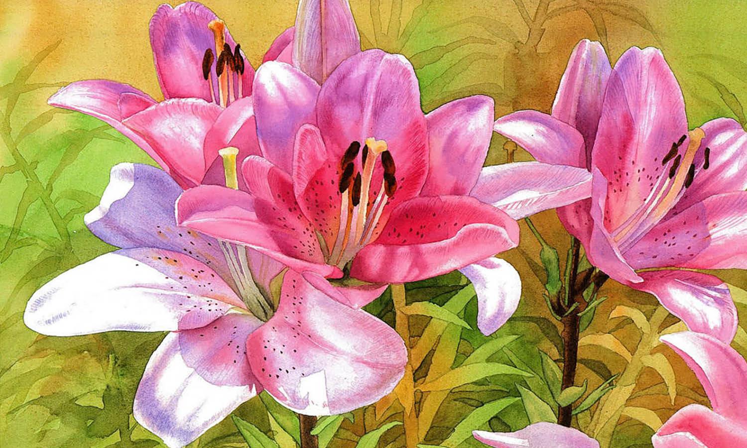 30 Best Lily Illustration Ideas You Should Check - Kreafolk