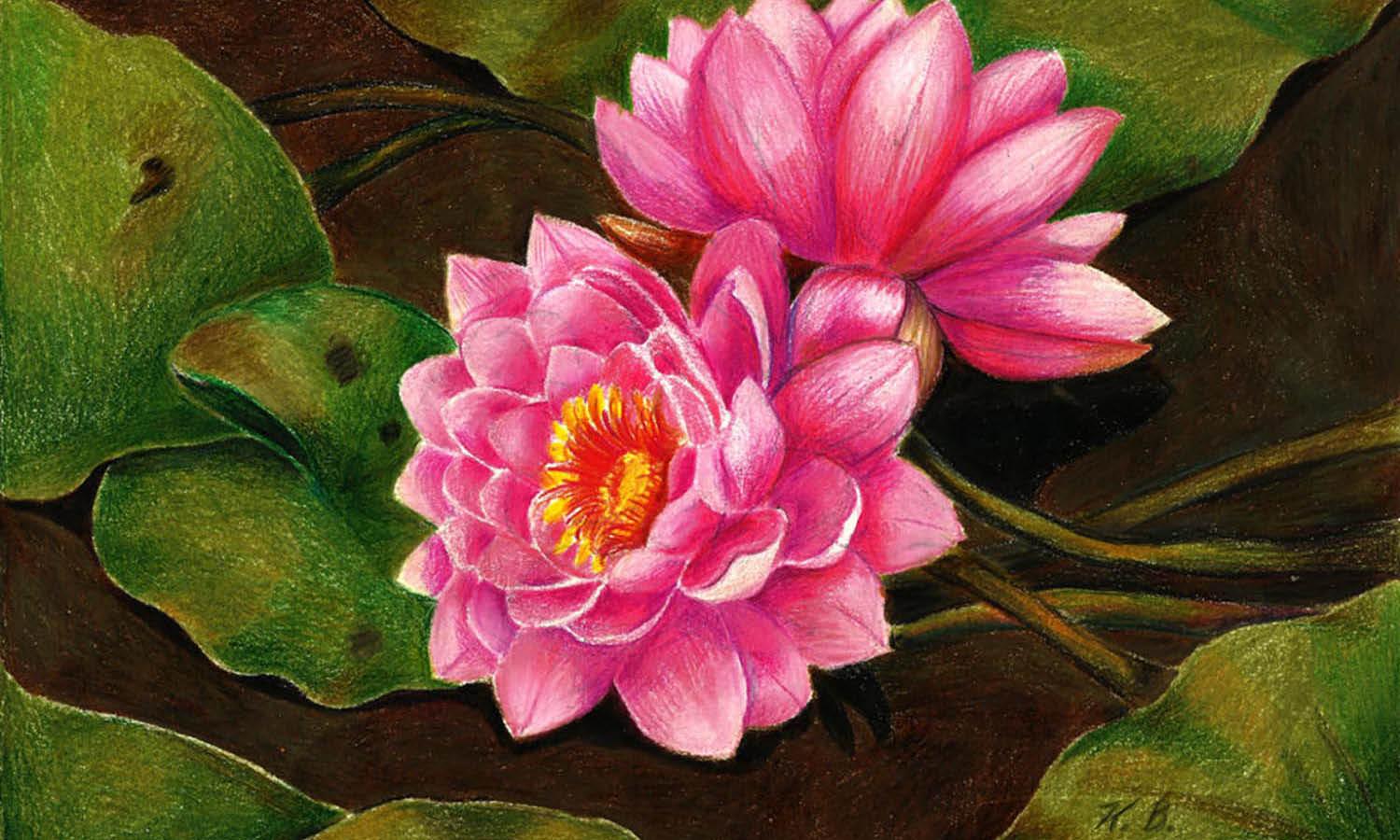 30 Best Lotus Illustration Ideas You Should Check - Kreafolk