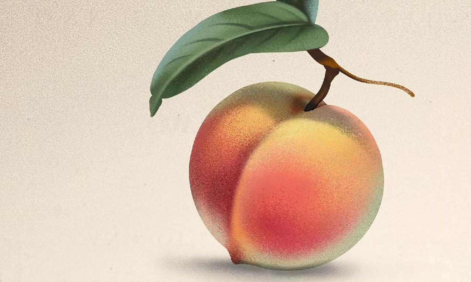 30 Best Peach Illustration Ideas You Should Check - Kreafolk