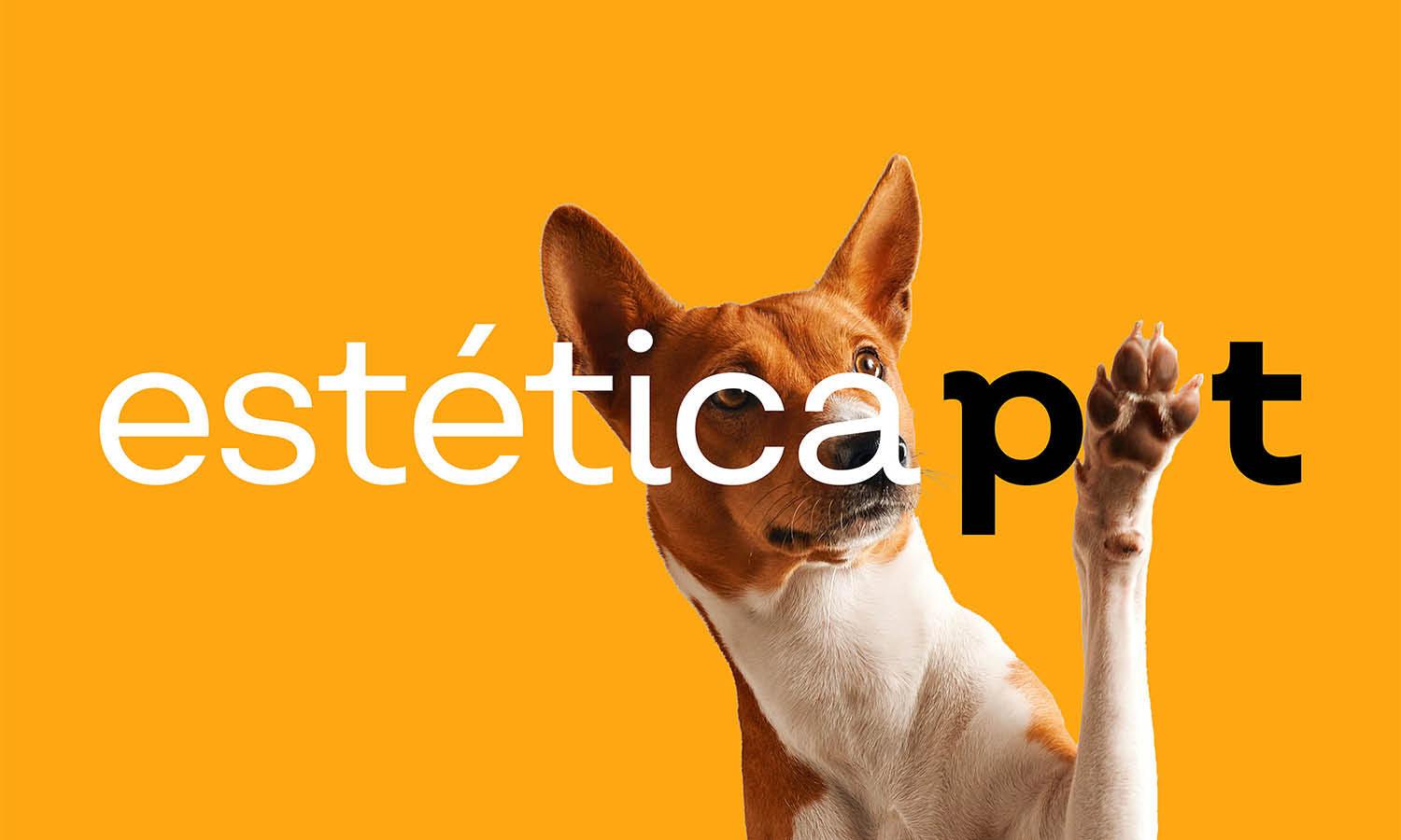 30 Best Pet Business Logo Design Ideas You Should Check - Kreafolk