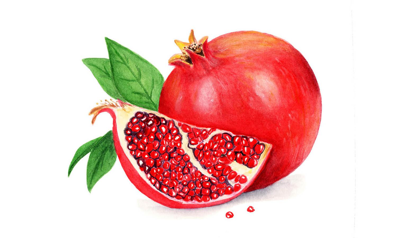 30 Best Pomegranate Illustration Ideas You Should Check - Kreafolk