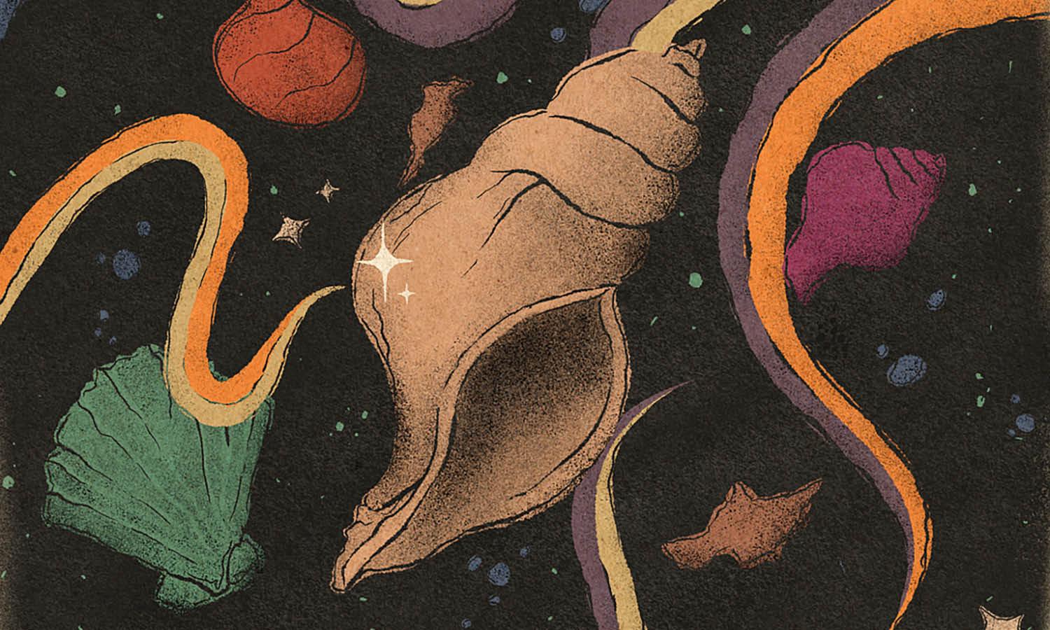 30 Best Shell Illustration Ideas You Should Check - Kreafolk